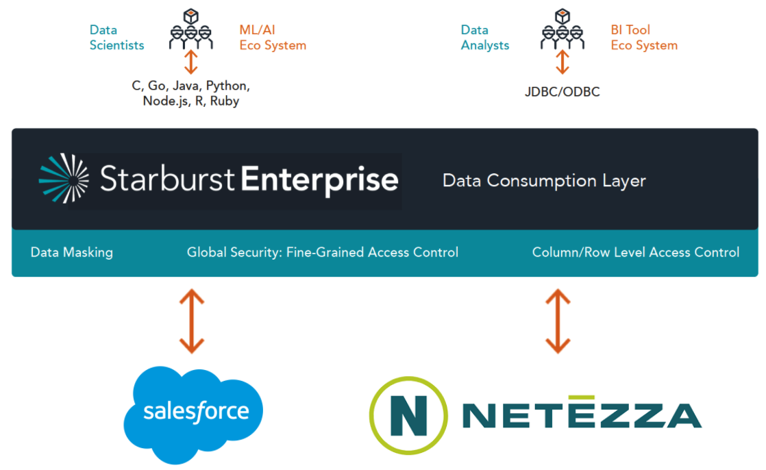 Salesforce IBM Netezza Connectors - Starburst